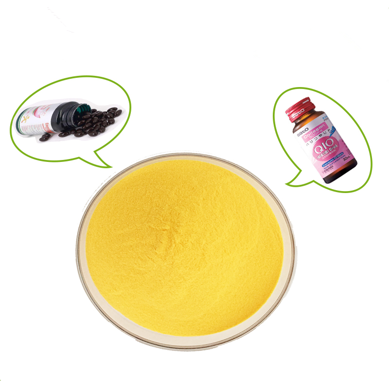 Coenzyme Q10 Powder 10%