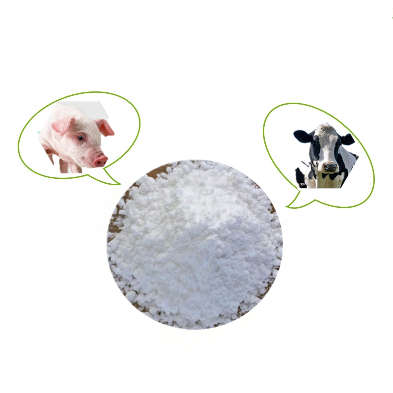 Feed Grade D-Biotin (Vitamin H) 96% Pure Powder